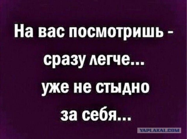 Субботние картинки