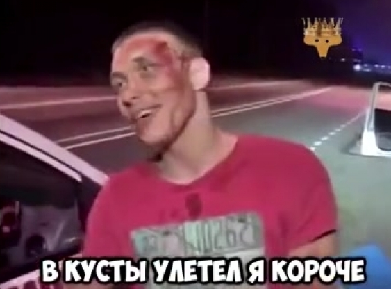 Про Ларгус