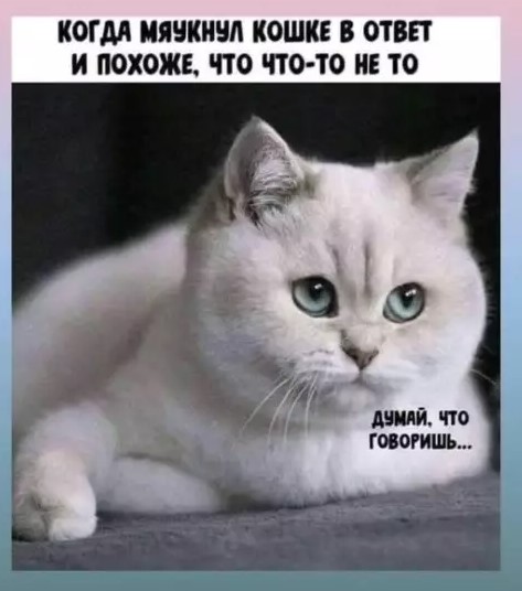 Картиночки, баянчики 29 марта