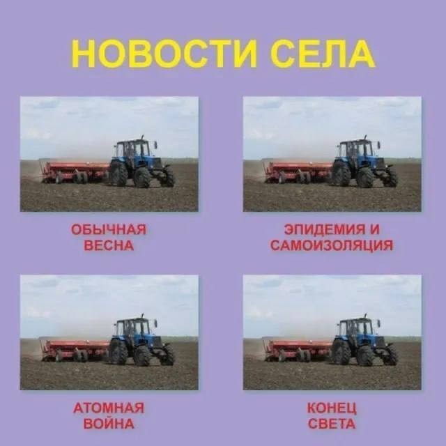 Картинки для деградации 242 (разной степени свежести)