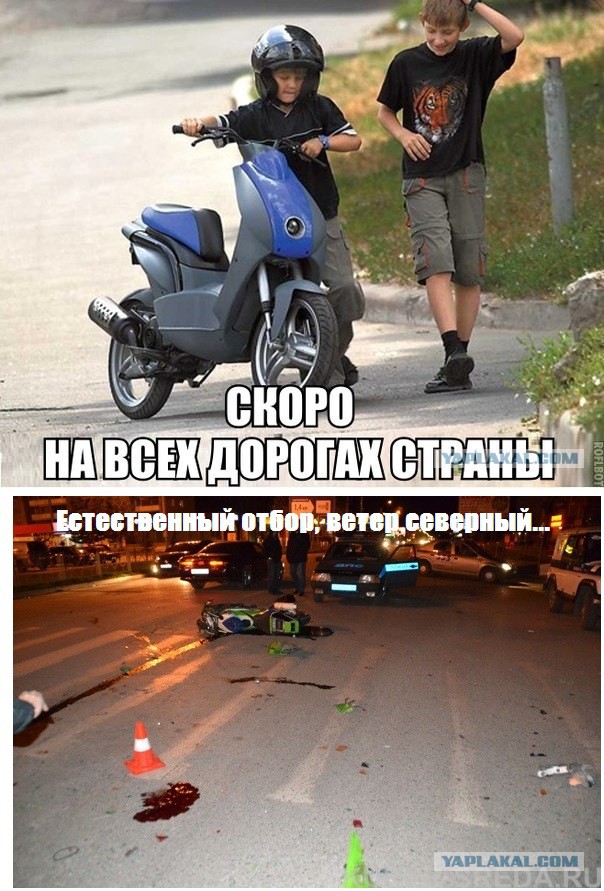 Картинки на Воскресенье, ассорти.