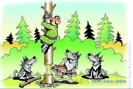 Подборка картинок