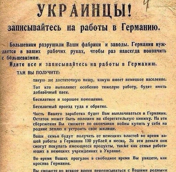 В Киеве проходит выставка «Убей колорада!