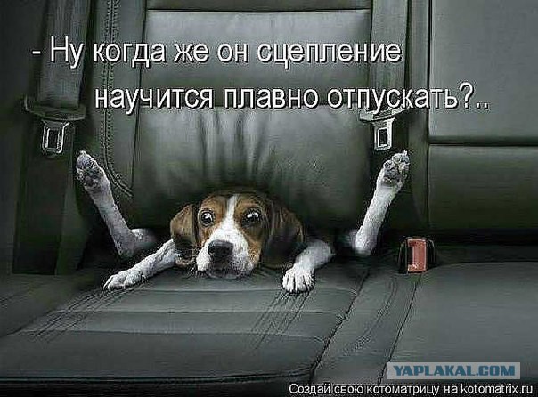 Весёлое из сети