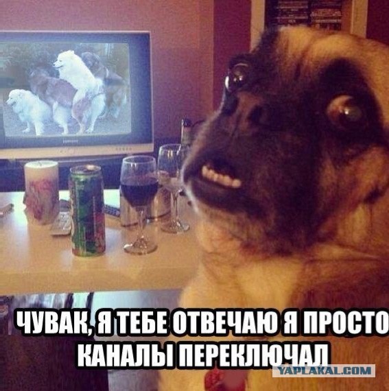 Картинки из этих ваших интернетов