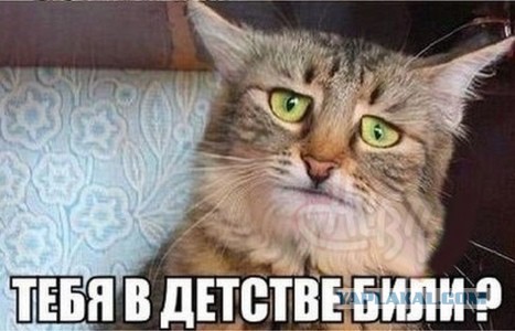 О том как вести себя с хулиганами.