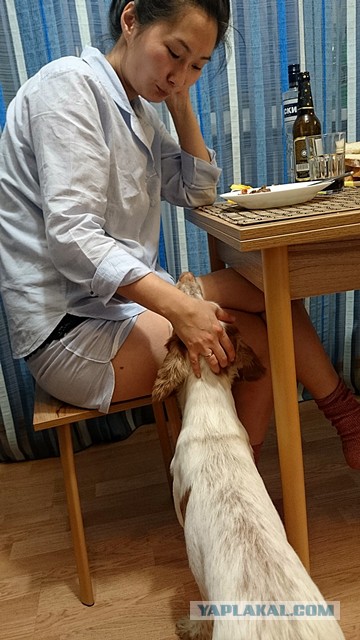 Паша «Ледокол» и Света в Ёбурге, (кулинарно-алкогольные выходные)