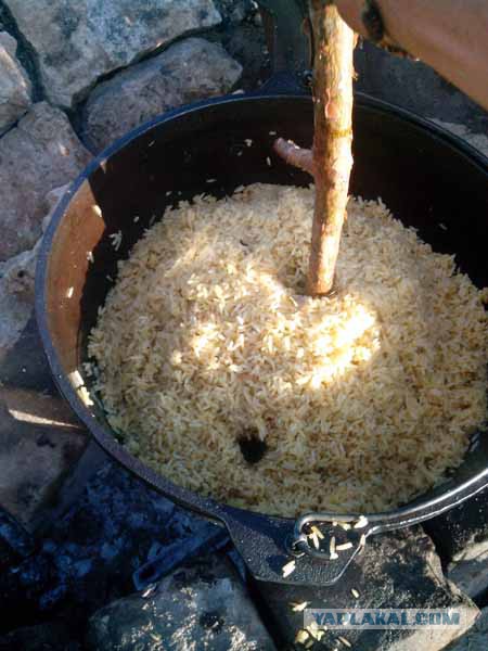 Кулинарный туризм.