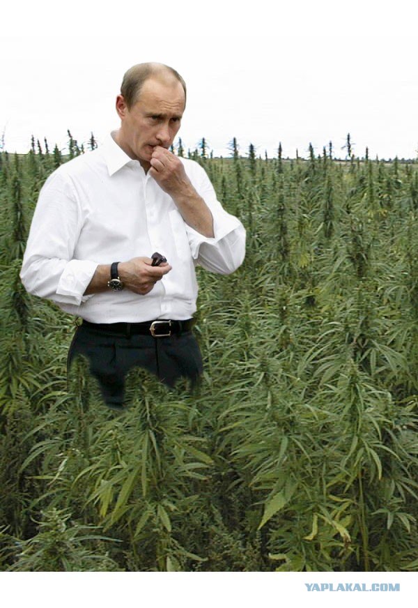 С самых юных лет...
