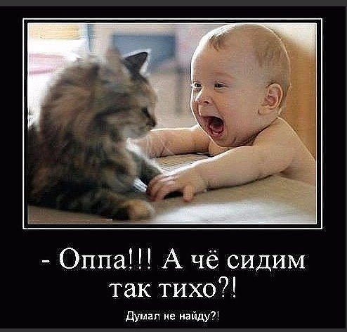 Подборка картинок