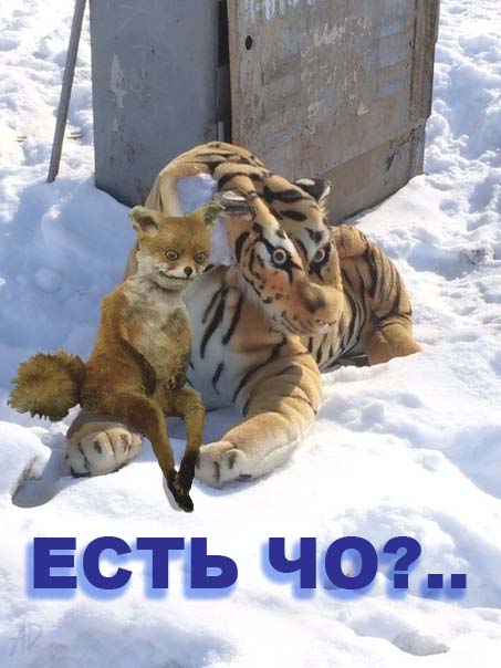Минутка наркомании на ЯПе