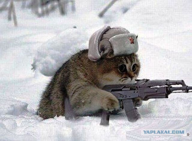 Новое поколение радует