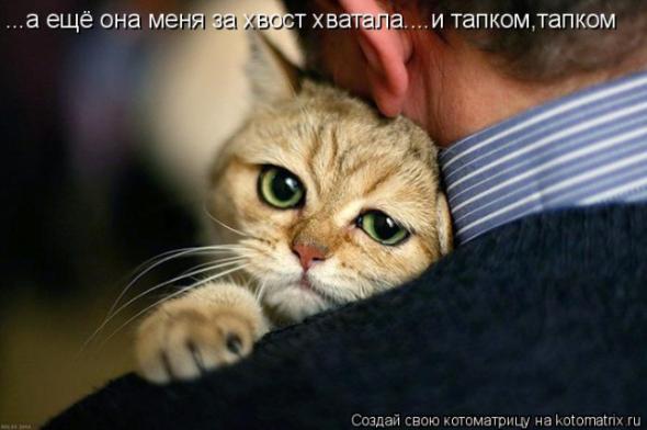 Веселые картинки