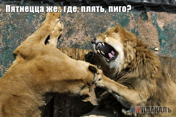 Уже да :) Ужо пятнецца...