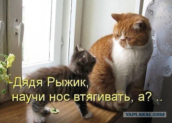 Очередная подборка картинок из сети