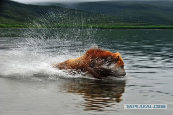 Больше, чем фото