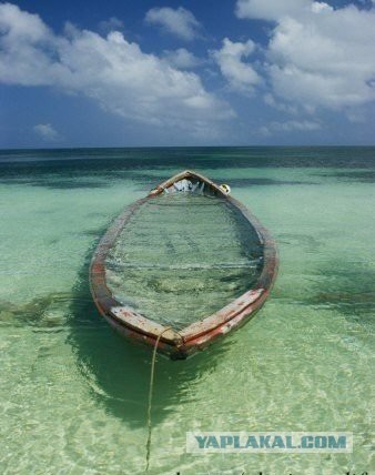 Подборка картинок 29.03.16