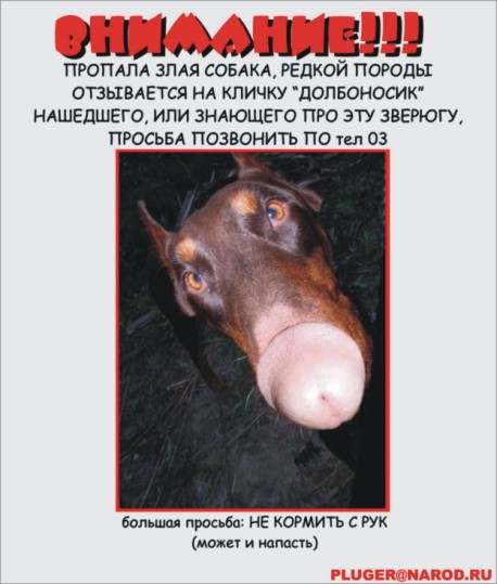 Реальная исторейа-2
