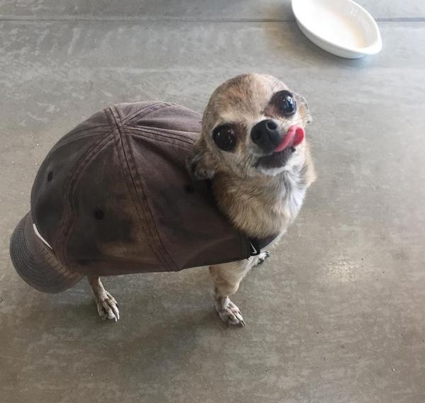 Подборка интересных и красивых фото