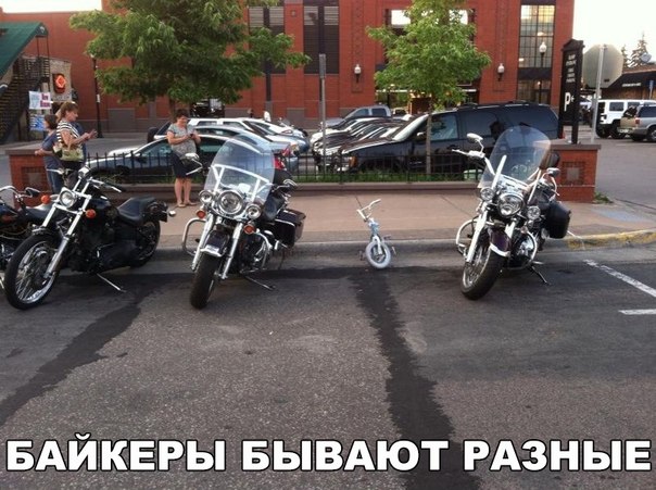 Интересные и веселые картинки