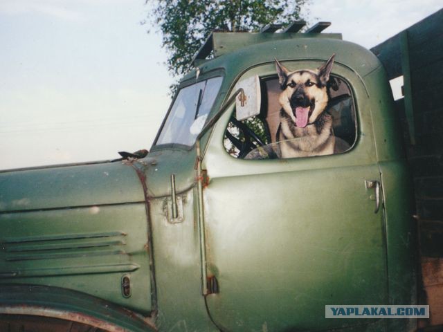 Сыночек к мамане в гости приезжал)))