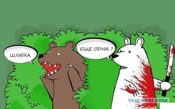 Флирт белой медведицы. Теперь я видел все