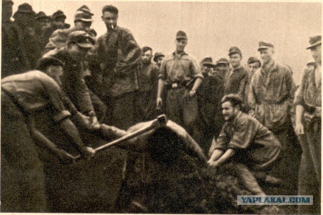 Немецкие фотографии русской деревни 1942-1943 гг. Фотограф Асимус Реммер