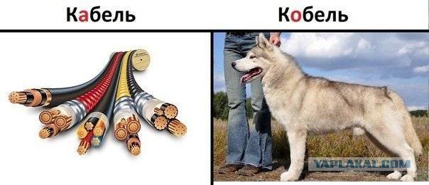Мамочки подрались в детском саду, не поделив мужчину