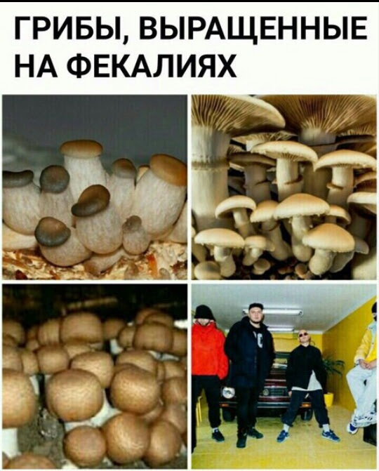 Подборка интересных и веселых картинок