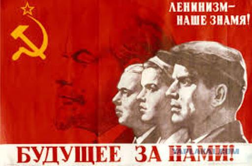Я нищеброд и мне не стыдно