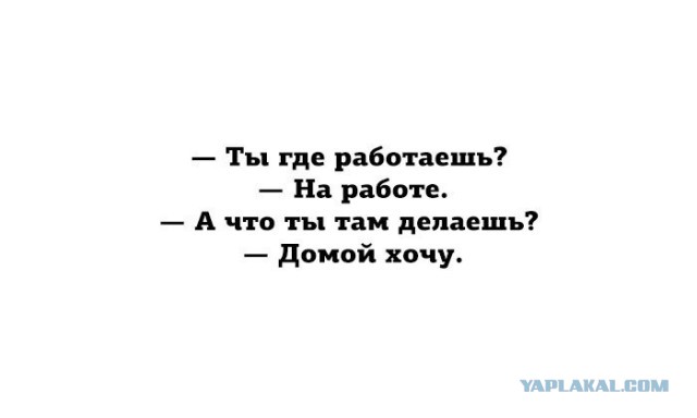 Подборка интересных и веселых картинок