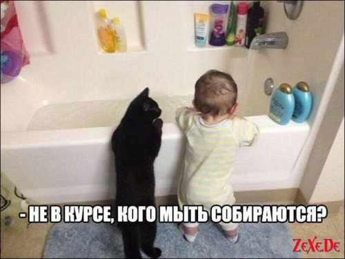 Подборка интересных и веселых картинок