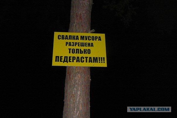 По родным просторам