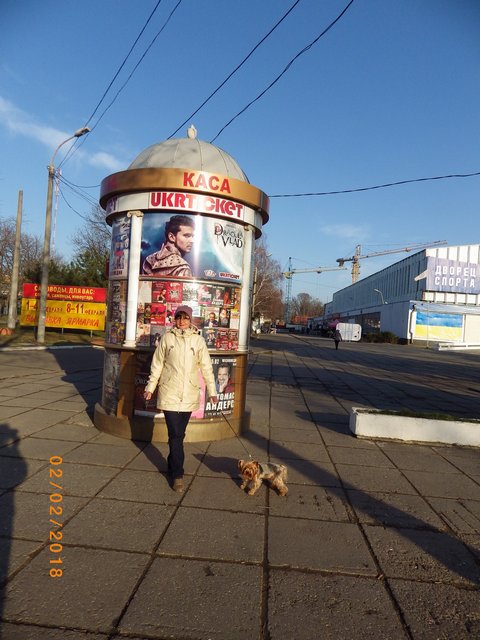 Снежный ад в Москве - большой фотоотчет