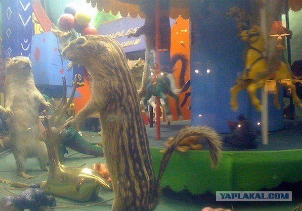 Жутковатый музей мертвых зверей
