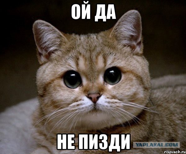 Глава Минтруда Топилин: реальные зарплаты в России выросли на 10% за 3-4 месяца