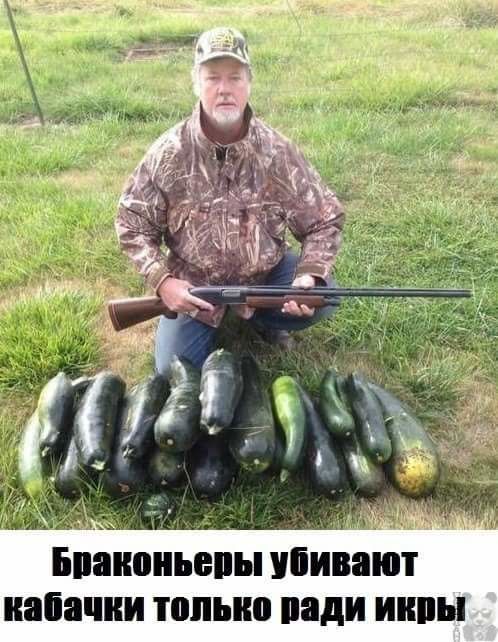 Подборка интересных и веселых картинок