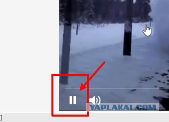 "Время". Люси была права