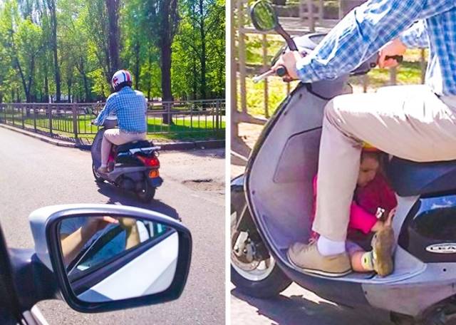 Лента прикольных картинок
