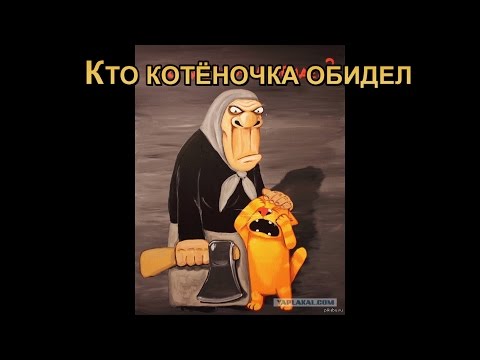 Жизнь домашнего приюта для котеек 238