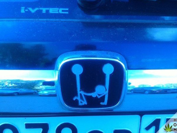 WTF: что тут происходит?