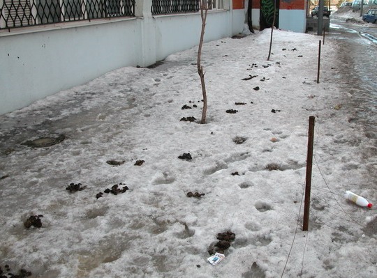 Запоминаем выражения