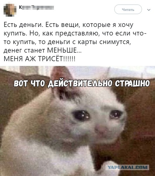 Почему мужчина обязан отдавать зарплату жене?