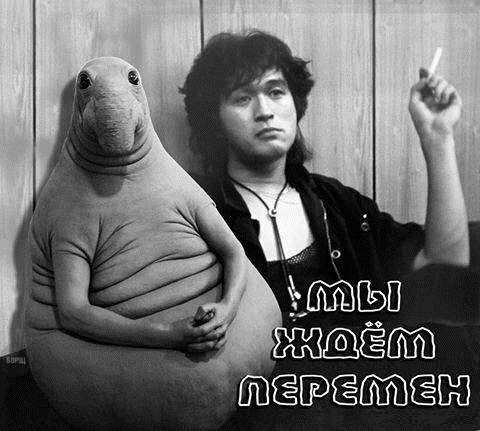 Анекдоты, соц-сети и картинки с надписями