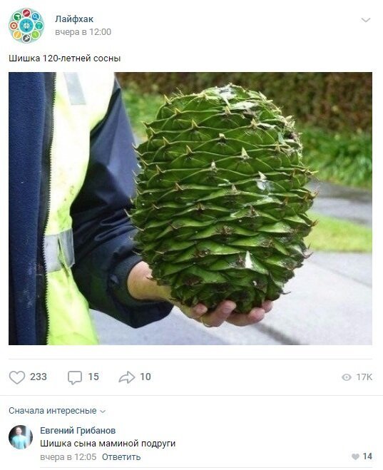 Подонковщина