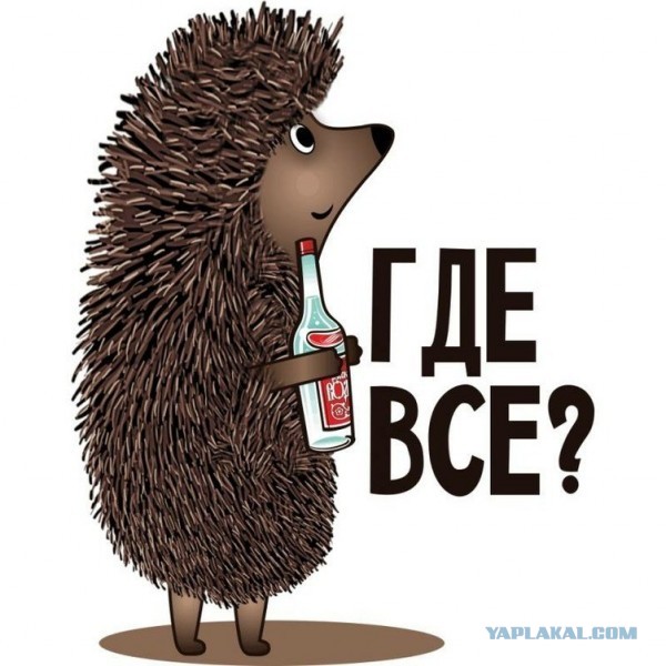 Сплошь и рядом разведенки