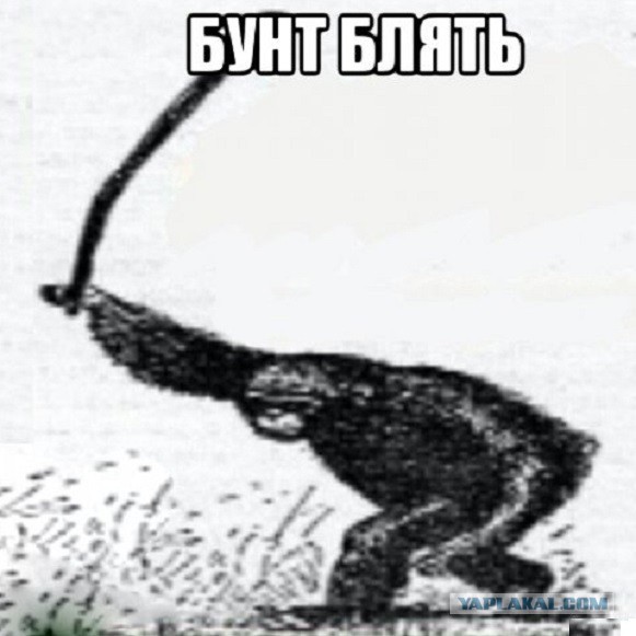 В Башкирии охотник подстрелил священника, приняв его за животное