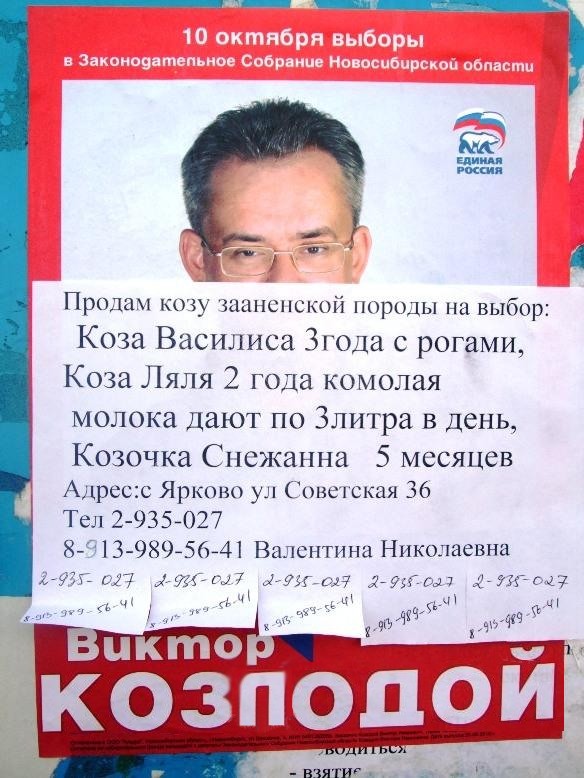 Продам козу
