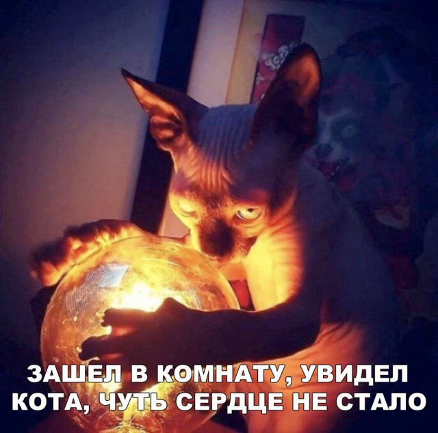 Бредзона 10.01.2020
