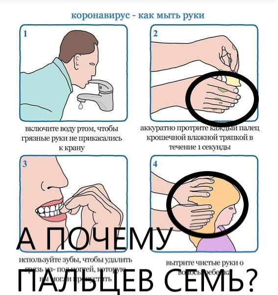Забытая дома голова